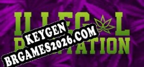 Chave para Illegal Plantation