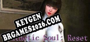 Chave para Synthetic Soul Reset