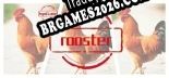 hgmGame-rooster - Localização em Português Brasileiro (texto + dublagem)