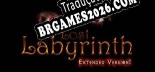 Lost Labyrinth Extended Version Localização - Interface e Dublagem em Português