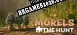Tradução Morels The Hunt - Tradução Completa para Português Brasileiro
