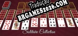 Spider Solitaire Collection - Português Brasileiro (Interface + Diálogos + Legendas)