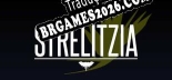 Strelitzia - Localização em Português Brasileiro (texto + dublagem)