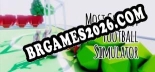 Most Correct Football Simulator Trainer +13 by CheatHappens.com [Última versão]